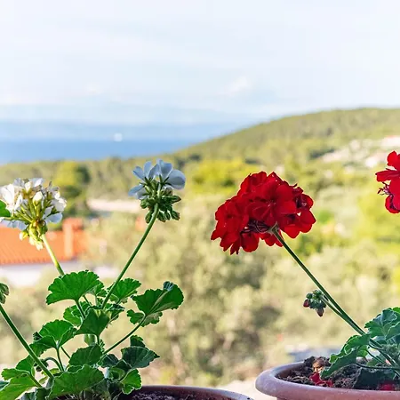 Stone House Tania - Happy * Vela Luka
