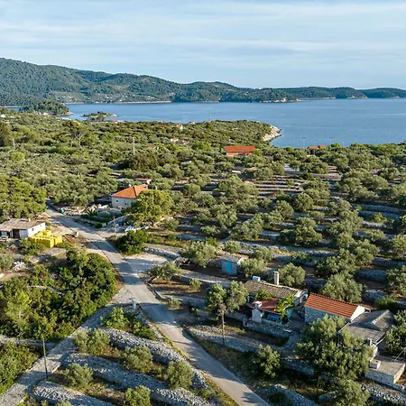 Apartment Stone House Tania - Happy Vela Luka
